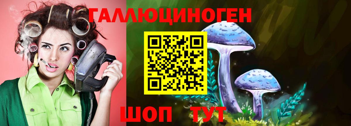 Златоуст  Псилоцибиновые грибы Psilocybe  Псилоцибиновые грибы MAGIC MUSHROOMS  Вход с VPN 