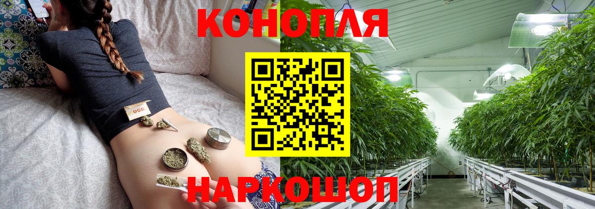 Бошки марихуана White Widow  Марихуана план  МАРИХУАНА THC 21%  Златоуст  Вход с VPN 